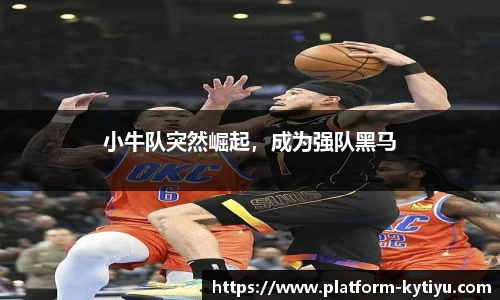 开云体育官网平台