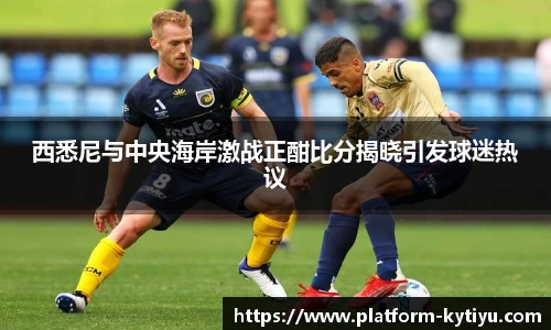 开云