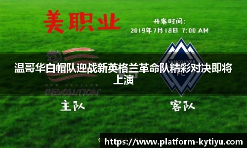 开云体育官网